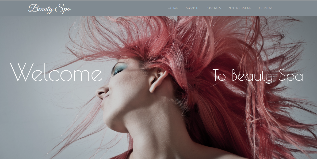 Saloon Website